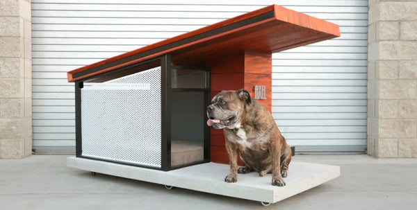 Two of Our Favorite Things Together: Modern Architecture and Dogs!